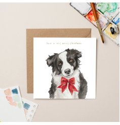 A festive Border Collie Christmas Card featuring a beautiful, bow-wearing pup