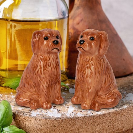 Cockapoo Salt & Pepper Set. 