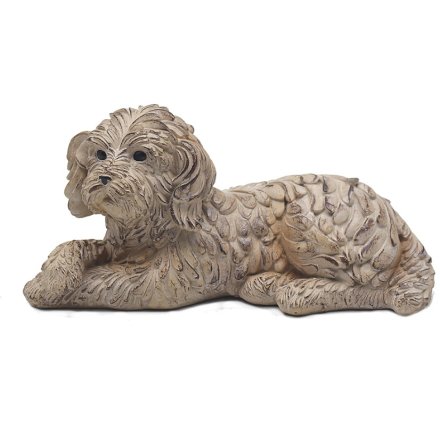 Waggy Tails With Paws Crossed