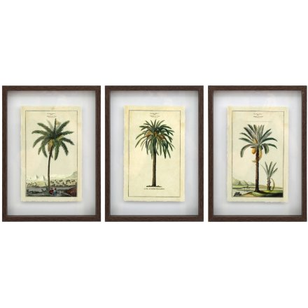 3A Palm Tree Wall Art, 40cm