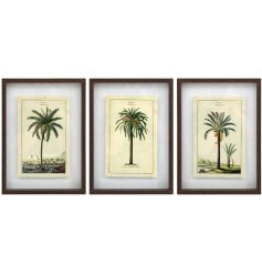 3 assorted tropical wall arts encased in a wooden frame.