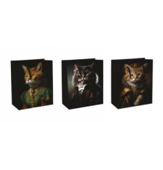 3 assorted gift bags great for cat lovers! Each one features a cynocephaly design.