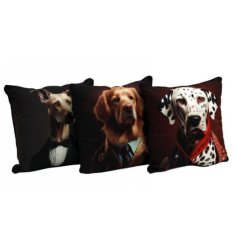  A stylish black cushion with a cynocephaly dog pattern in 3 assorted designs. 
