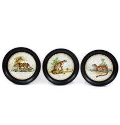 An assortment of 3 rounded frames in black, each with an image of a leopard in a jungle setting. 