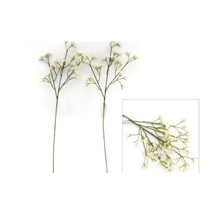 A spray of gorgeous white Gypsophila, great for weddings or simply placing in a simple vase around the home.
