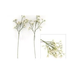 A spray of gorgeous white Gypsophila, great for weddings or simply placing in a simple vase around the home.