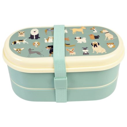 Enhance your child's lunchtime with our Best in Show kids' bento box