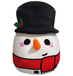Meet Cole the Snowman, a friendly, cuddly, soft toy from the Squidglys range. 