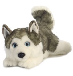 A husky soft toy displaying a stretched out pose. 