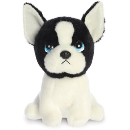 A sweet Boston Terrier called Harvard from the Petites collection. 