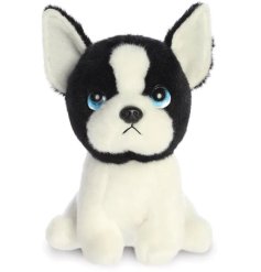 A sweet Boston Terrier called Harvard from the Petites collection. 