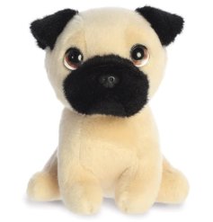A black and cream pug called Preston from the Petites range. 