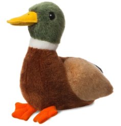 Part of the mini flopsies collection, a mallard duck soft toy.  
