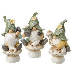 3 assorted garden gnomes perched on toadstools each holding a gardening accessory. 