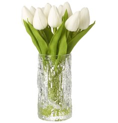 A textured glass vase holding a bunch of closed white tulips. 