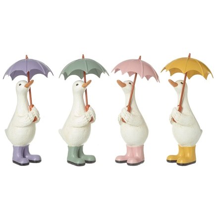 Umbrella Ducks, 4a