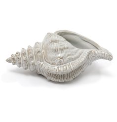A luxe conch shell ornament in neutral tones. 