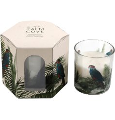 A fragranced candle in a glass pot with funky tropical designs. 