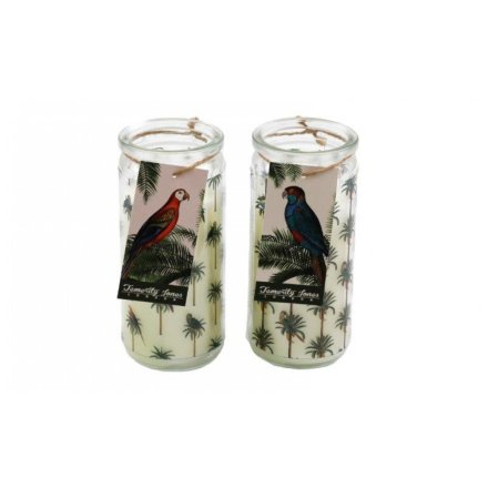 An assortment of 2 candles in a tall glass tube, featuring mini palm tree prints and a parrot themed gift bag. 