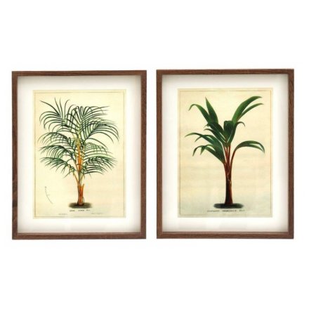 Palm Tree Mounted Wall Art, 2A 40cm