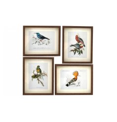 A framed wall art of a tropical bird perched on greenery, in 4 assorted designs. 
