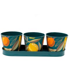 This stylish set of three metal planters on a base will add a touch of colour to any outdoor space.