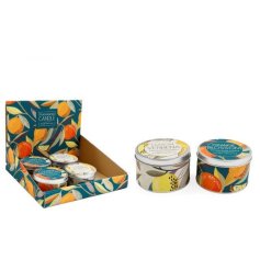 This charming collection of tin candles infused with citrus zest offers an ideal means to introduce a hint of refreshing