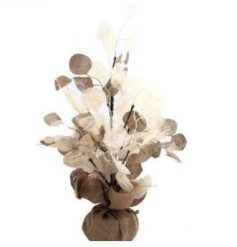 This eucalyptus tree features natural branches and is enclosed together in a hessian wrap base.