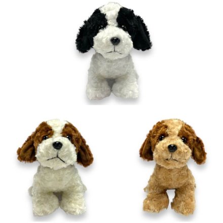 A soft and cuddly dog toy in 3 assorted colours. 