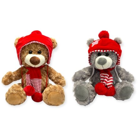 2A Winter Hat and Scarf Bear, 25cm