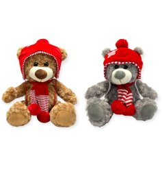 A soft and cuddly teddy bear in 2 assorted designs