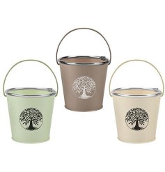 A chic metal planter in a bucket style shape, featuring a black Tree of Life symbol in the centre.