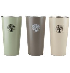 An assortment of 3 tall flower buckets/ planters each with a Tree of Life printed image.