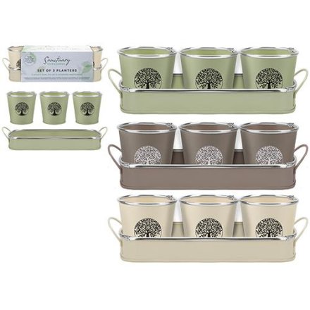 Tree of Life Planters on Tray, 3A 
