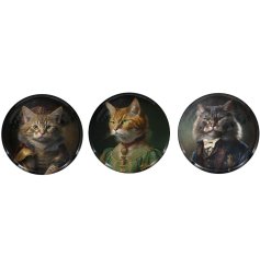 An assortment of 3 plates, featuring cat cynocephaly. 