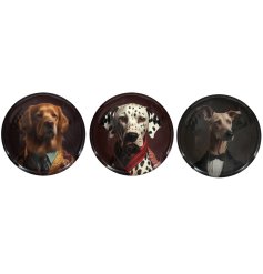 An assortment of 3 dogcynocephaly wall art. A quirky but cute dog wearing a suit inserted on a stylish plate.