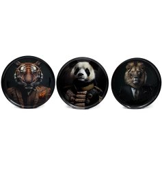 An assortment of 3 framed jungle themed prints featuring suited animals. 
