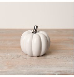white pumpkin with silver stalk-S