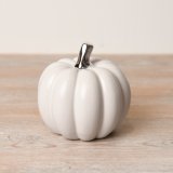 white pumpkin with silver stalk-M