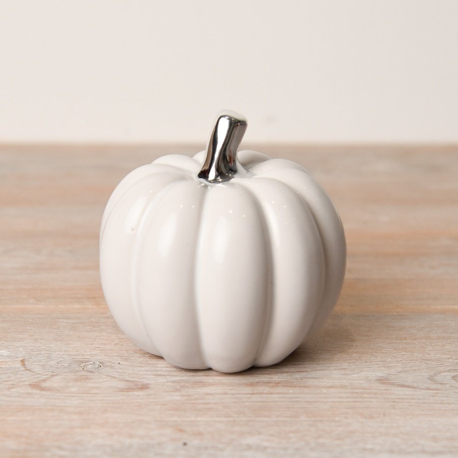 white pumpkin with silver stalk-M