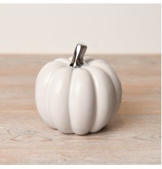 white pumpkin with silver stalk-M