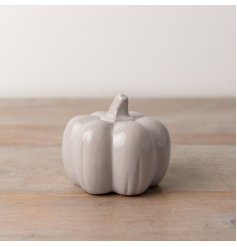 A elegant grey ceramic pumpkin that is sure to add a charming accent for any seasonal decor.