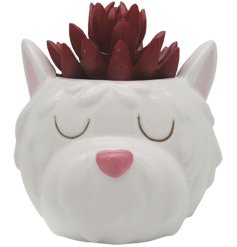 An adorable dog's head sculpted pot, suitable for displaying a small plant.