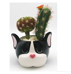 A black and white pot for indoor flowers in the shape of a french bulldog's face