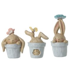 An assortment of 3 rabbit ornaments playing inside little plant pots. 
