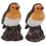 A salt and pepper set featuring a simple robin sat on a branch. 