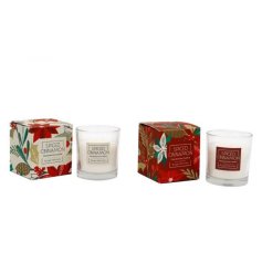 Spiced Cinnamon Boxed Candle Mix 7.5cm