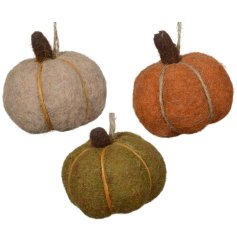 Create a cozy fall atmosphere at home with these adorable pumpkins.