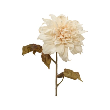 75cm White Dahlia Flower