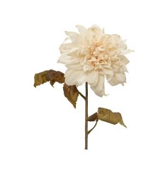 Choose this timeless flower for a stylish and easy floral arrangement